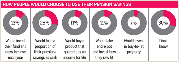 How people would choose to use their pension savings