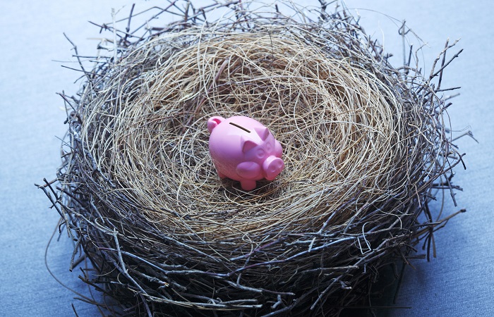 Pension nest, piggy bank